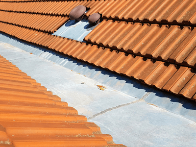 About Leaking Skylight Repair Pros Milan, MI